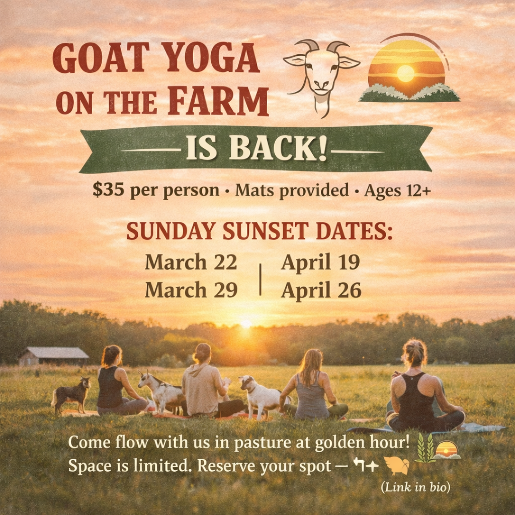 Goat Grounding & Stretching